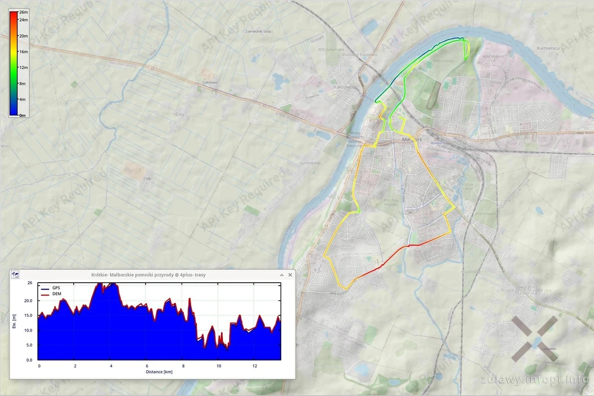 Malborskie pomniki przyrody