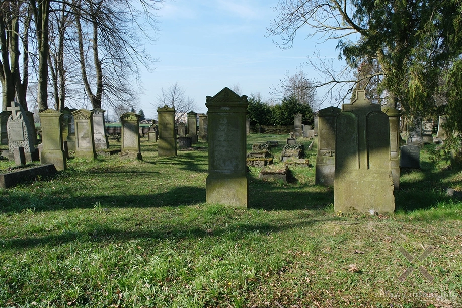 Cmentarz mennonicki w Stogach