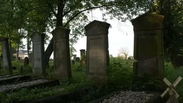 Największy na Żuławach cmentarz mennonicki w Stogach