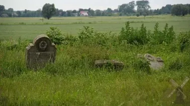 Cmentarz (lapidarium) mennonicki w Niedźwiedziówce (2013)