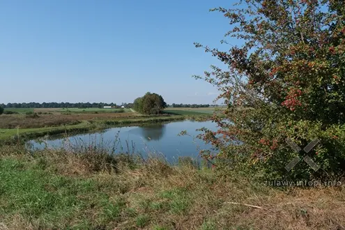 21.09.2024. Kolej wąskotorowa na Żuławach Gdańskich, cz. 3