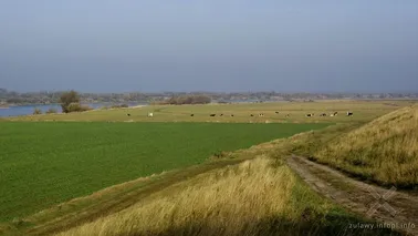 Widok na Wisłę i podery zalewowe w Borętach