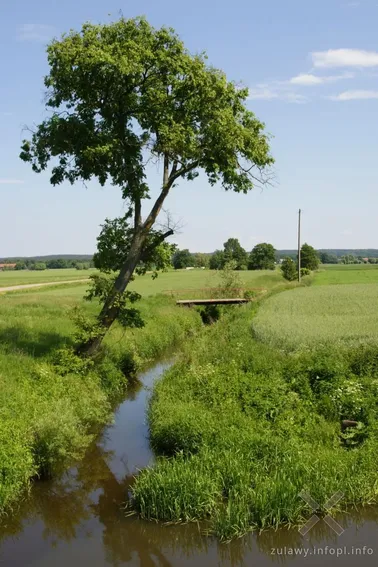 Na trasie Barcice-Biała Góra