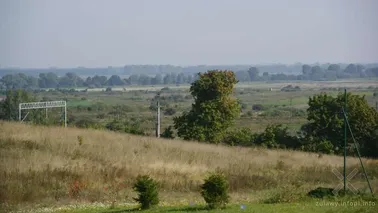 Widok na Żuławy między Łęgowem a Różynami