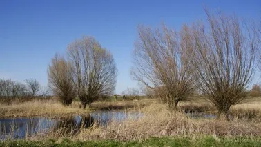 Na trasie Marzęcino-Gozdawa