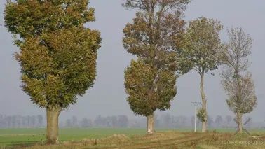 W jesiennym cieple i słońcu