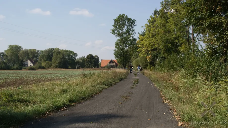 Nasze Żuławy na tle remontowanego domu podcieniowego w Orłowie