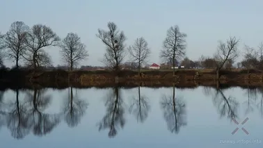 Żuławski krajobraz w okolicach Malborka