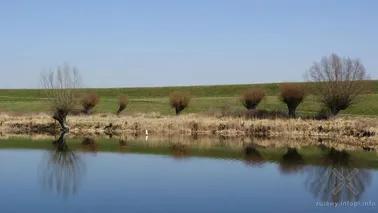 Staw i wał wiślany w okolicy Koźlin