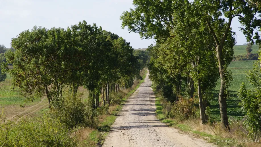 Alternatywna droga do Malewa krzyżująca się z nasypem