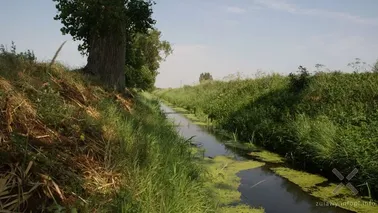 Żuławy Elbląskie