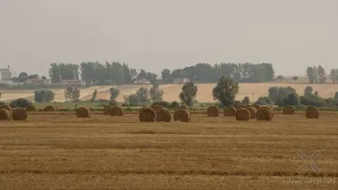 Falowanie terenu Pojezierza Iławskiego