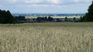 Dawne lotnisko, widok na Żuławy i Tczew.