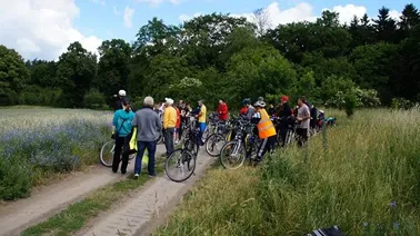 Wzgórze na skraju lasu wielbarskiego z widokiem na Żuławy i Tczew.