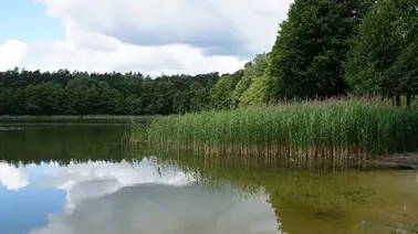 Jezioro Białe w Sztumskim Polu.