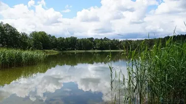 Jezioro Białe w Sztumskim Polu.