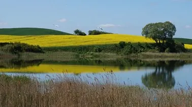 Jezioro Dąbrówka.