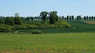 Polna droga prowadząca do Jodłówki.