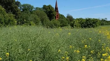 Kościół w Łozie.