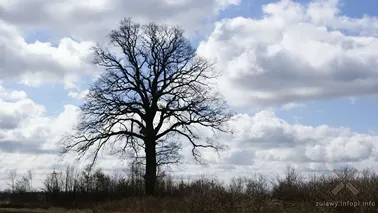 Krajoznawczo po Żuławach