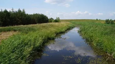 Okolice Ząbrowa.