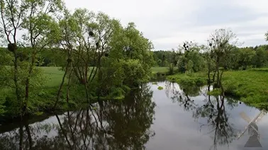 Na szlaku Szpęgawsk - Klonówka.