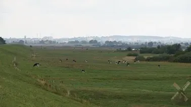 Polder zalewowy Wisły.