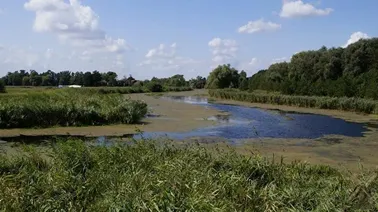 Wzdłuż kanałów i rzek, przez Żuławy Gdańskie