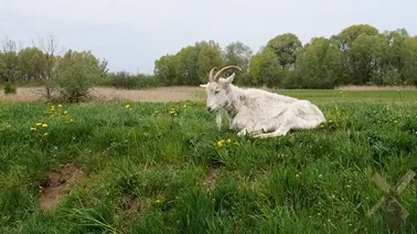 Na trasie Krępiec - Mokry Dwór.