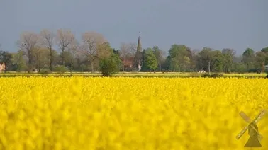 Kościół w Kończewicach.