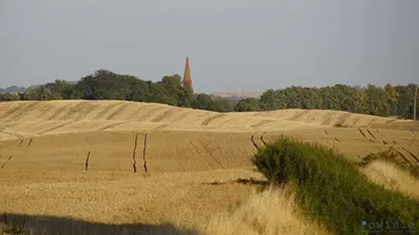 Kościół w Łozie.