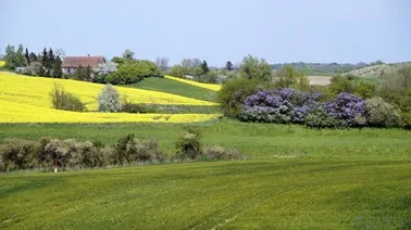 Krajobraz Powiśla