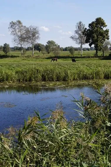 Nad Tiną