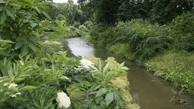 Nowy Staw, rz. Święta