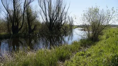 Rezerwat Jezioro Drużno