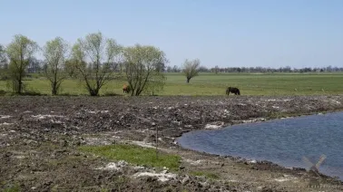 Okolice Żuławki Sztumskiej