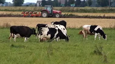 Pracowita sobota na Żuławach