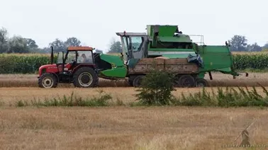 Pracowita sobota na Żuławach