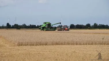 Pracowita sobota na Żuławach