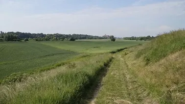 Malbork widziany z wału w Kamionce