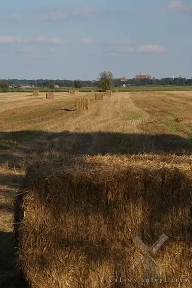 Żuławy i Malbork