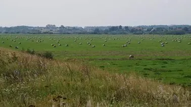 Polder zalewowy nad Wisłą