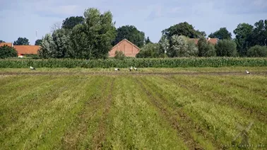 Okolice Złotnicy i Rozgartu