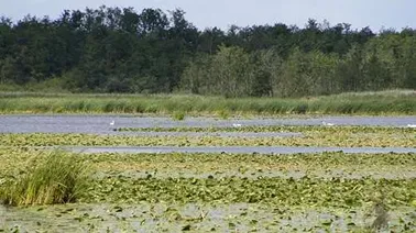 Węgle-Żukowo- Druzno