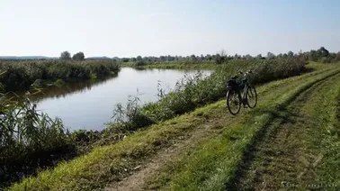 Żuławy Elbląskie- rzeka Dzierzgoń w lewo i Kanał Modry w prawo