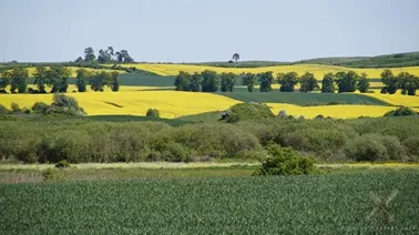 Dolne Powiśle