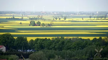 Nowy Staw z widocznymi zabytkami miasta