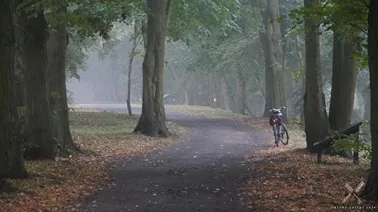 Mglisty poranek nad Nogatem w Malborku