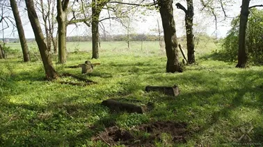 Mątowy Małe- cmentarz mennonicki