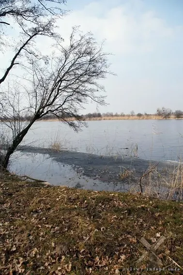 Malbork